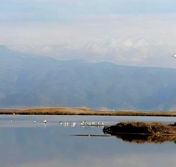 Agroktima Fourki Hotel